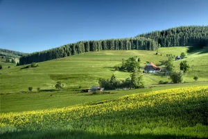 7 niezbędnych wyrobów z paracordu na wyprawę turystyczną